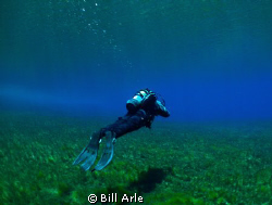 Dive leader doing his dolphin kick.  Clear Lake in Oregon... by Bill Arle 